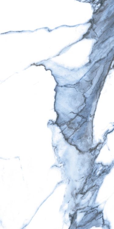 Calacatta Blue Polished 12 x 24